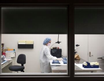 Allyson Goble In this Friday, March 2, 2012 photo, Allyson Goble, a forensic scientist at the New York State Police Forensic Investigation Center in Albany, N.Y., screens a pair of blue jeans for biological evidence.