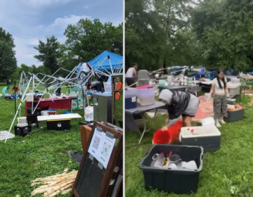 SEA-Market-IG-bp Vendors at the Southeast Asian Market in FDR Park
