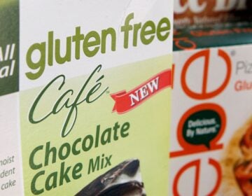 gluten-free-file-ap gluten-free chocolate cake mix