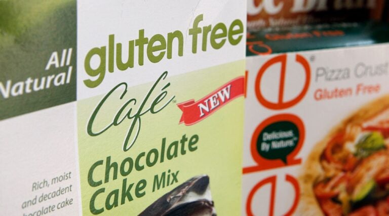 gluten-free chocolate cake mix