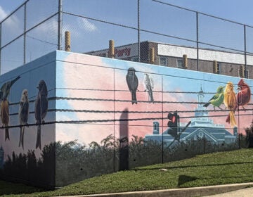 main maybe crop copy Birds on a wire highlight Wilmington's unconventional mural for America's 250th birthday. (Cris Barrish/WHYY)