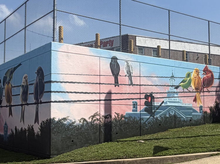 Birds on a wire highlight Wilmington's unconventional mural for America's 250th birthday. (Cris Barrish/WHYY)