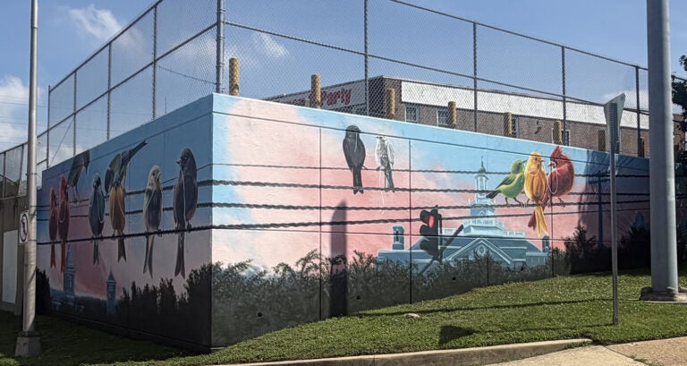 Birds on a wire highlight Wilmington's unconventional mural for America's 250th birthday. (Cris Barrish/WHYY)