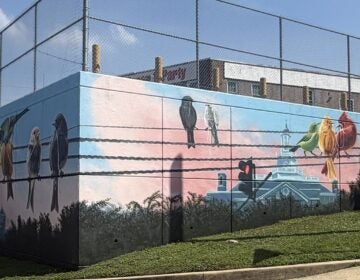 Unas aves sobre un cable destacan el mural poco convencional