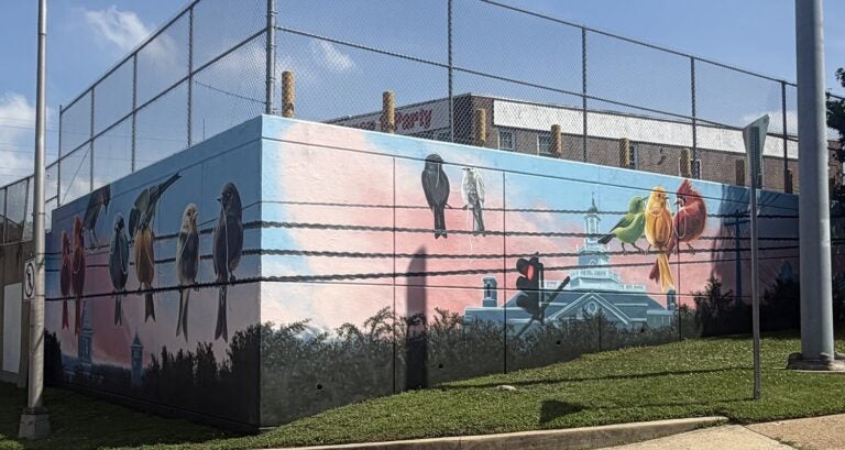 Unas aves sobre un cable destacan el mural poco convencional