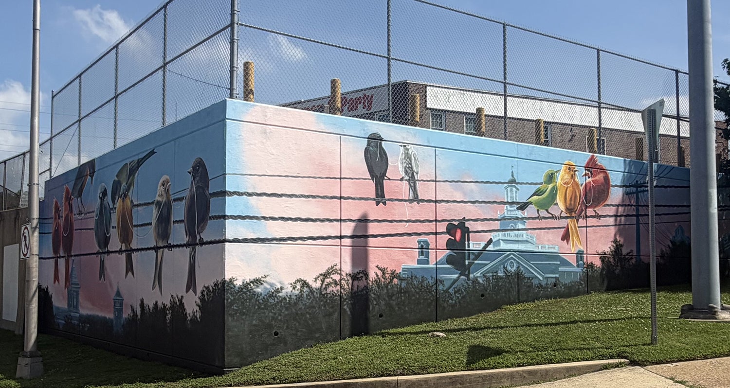 Birds on a wire, subtle tribute to Bob Marley mark Wilmington’s mural for 250th