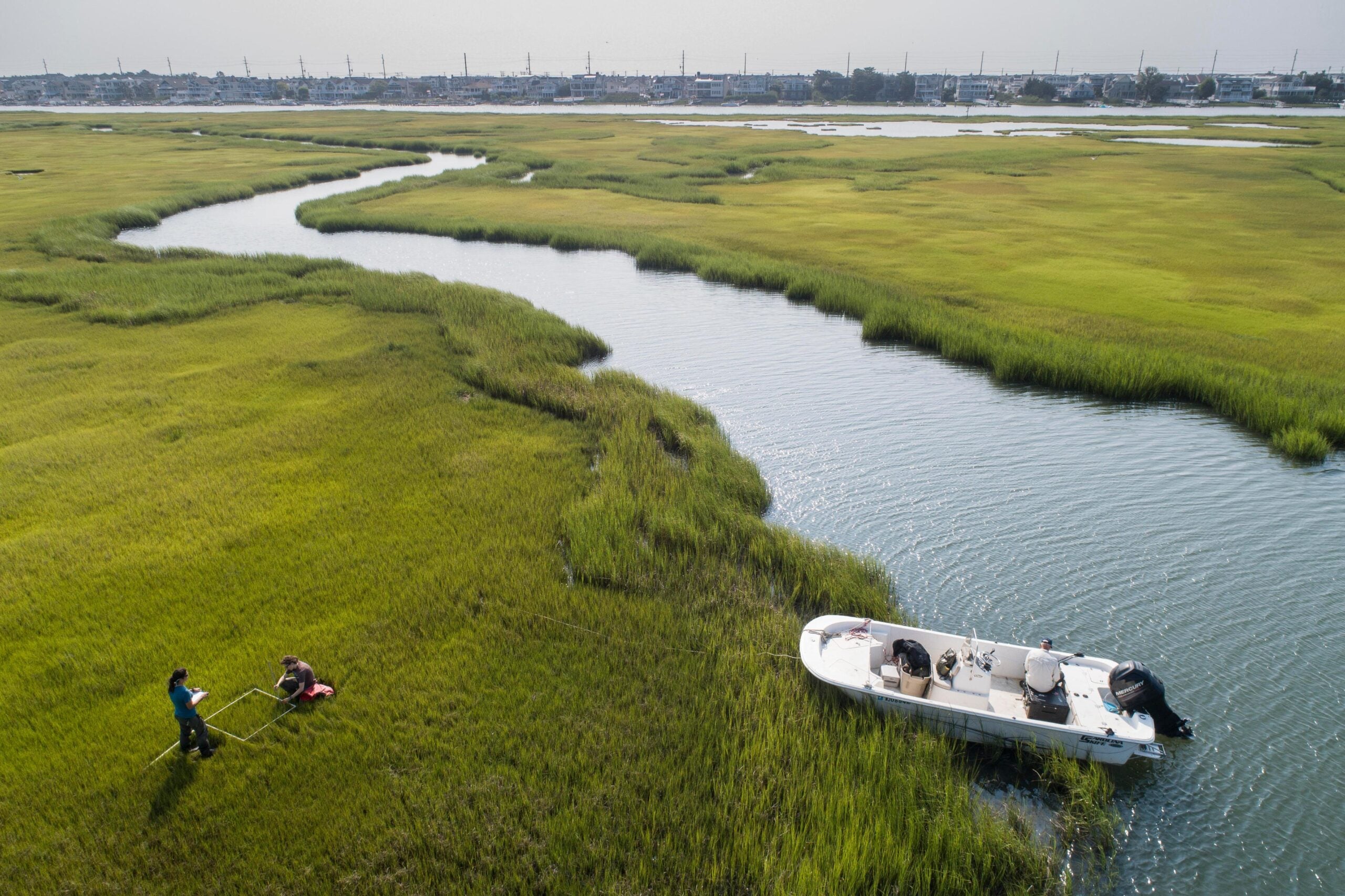 An aerial view of a New Jersey salt marsh