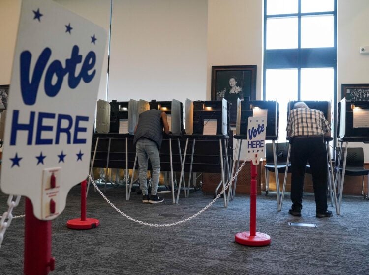 People vote in the Democratic primaries at Blair-Caldwell Library