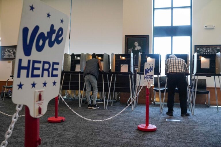 People vote in the Democratic primaries at Blair-Caldwell Library