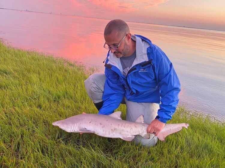 sand-tiger-shark-monmouth-university Keith Dunton holds a sand tiger shark