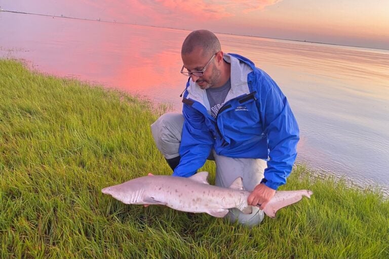 Keith Dunton holds a sand tiger shark