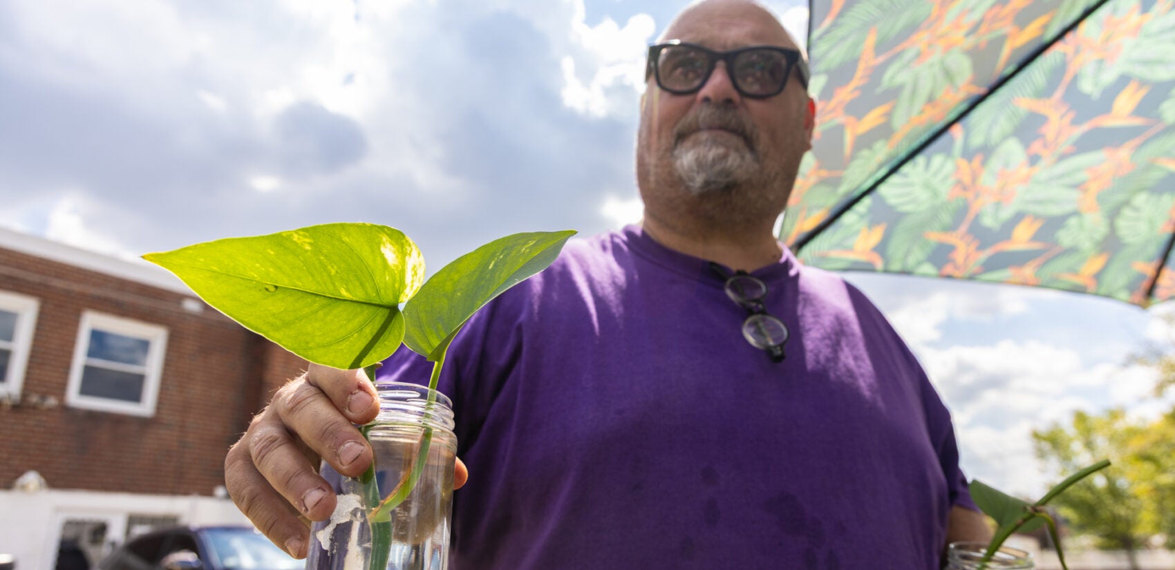 Michael Hathaway holds a cutting from a pathos plant
