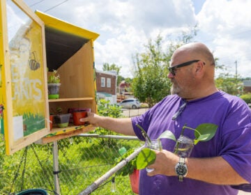 08 26 2026 k paynter free plant library-5 Michael Hathaway stocks the little plant library