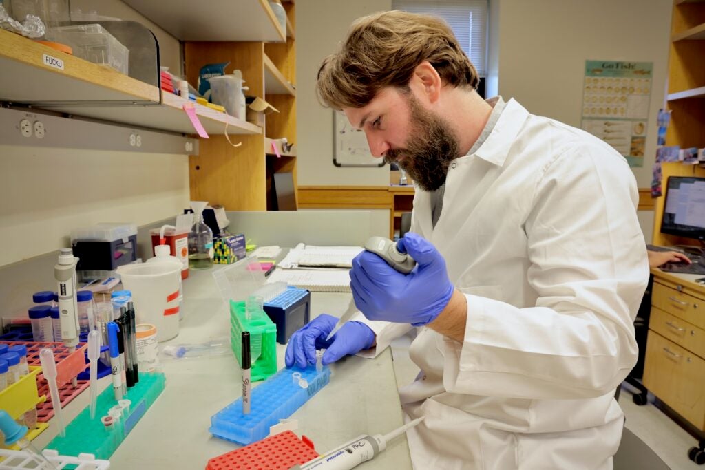 Lucas Restrepo is examining a specimen in his at lab at University of Pennsylvania.