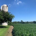 whyy.org - Sarina Grossi - A nearly 90-acre farm in Lewes, Del. will be protected from development