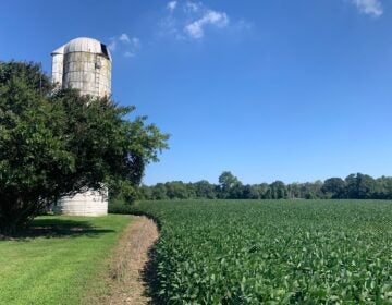 ard-na-greine-farm-lewes-delaware-2026-sg-4 a silo on the Ard Na Gréine farm