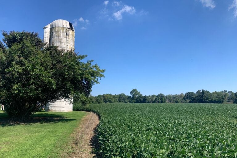 a silo on the Ard Na Gréine farm