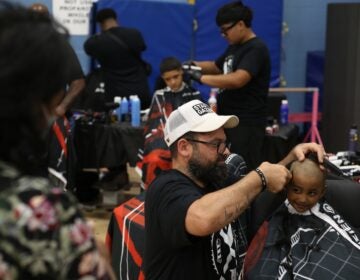 a kid receives a haircut