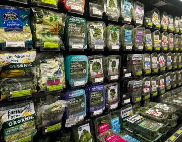 Boxed and bagged produce sits on store shelves
