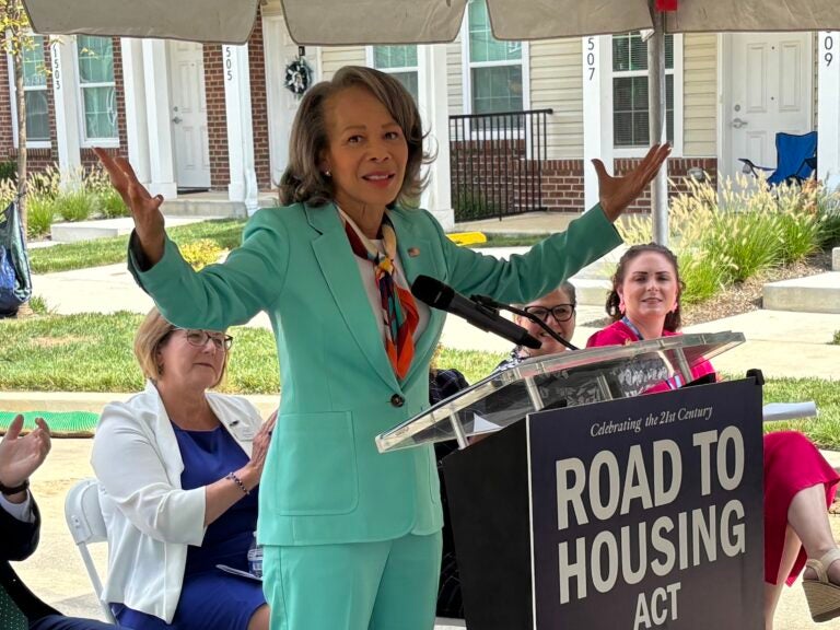 Lisa Blunt Rochester speaks