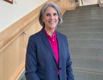 rehoboth_beach_mayor_susan_stewart Rehoboth Beach Mayor-elect Susan Stewart poses for a photo in a blue blazer and pink undershirt