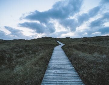 timon-reinhard-xlJNIaeSFcI-unsplash
