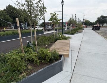 New benches on Washington Avenue