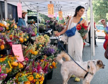A woman shops for flowers at a farmers market with her dog.