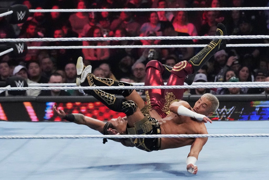 Wrestlers wrestle inside a WWE ring