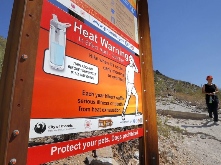 Signs waring of extreme heat are placed on a trailhead, Wednesday, June 22, 2016, at Piestewa Peak in Phoenix.