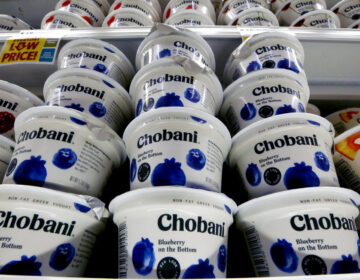 Chobani Greek Yogurt Chobani greek yogurt sits on a store shelf