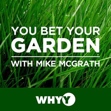 You Bet Your Garden Join host Mike McGrath as he slays slugs, defeats deer, whacks weeds, and saves plants every week on You Bet Your Garden - a fiercely organic and sometimes (OK - frequently) wild and crazy island of highly accurate and family-safe gardening information.