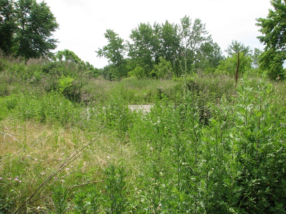 Another view of the now-vacant land