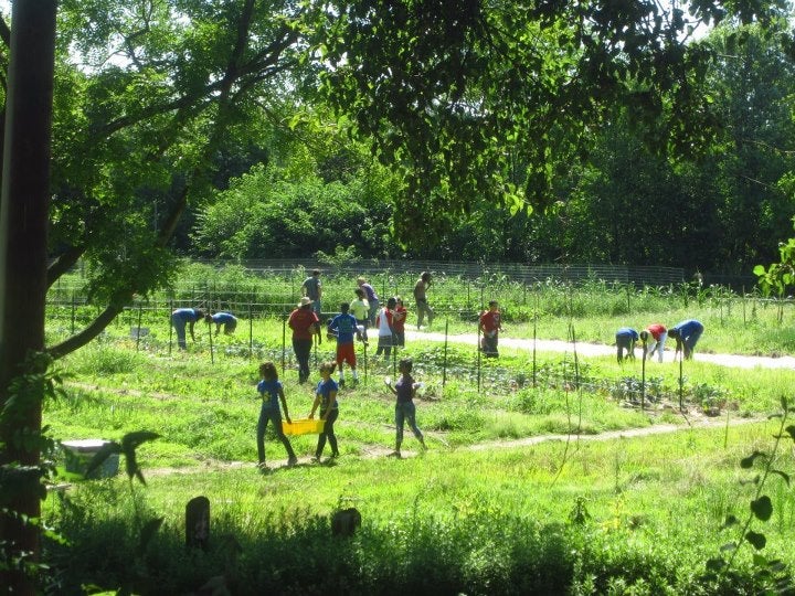 Bartram’s Garden will be honored for the creation of its student-managed Community Farm and Food Resource Center.