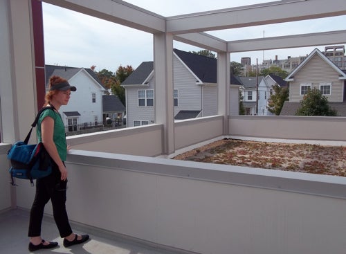 Ashby Leavell, a graduate student in University of Delaware's public horticulture program, examines the green roof deck.