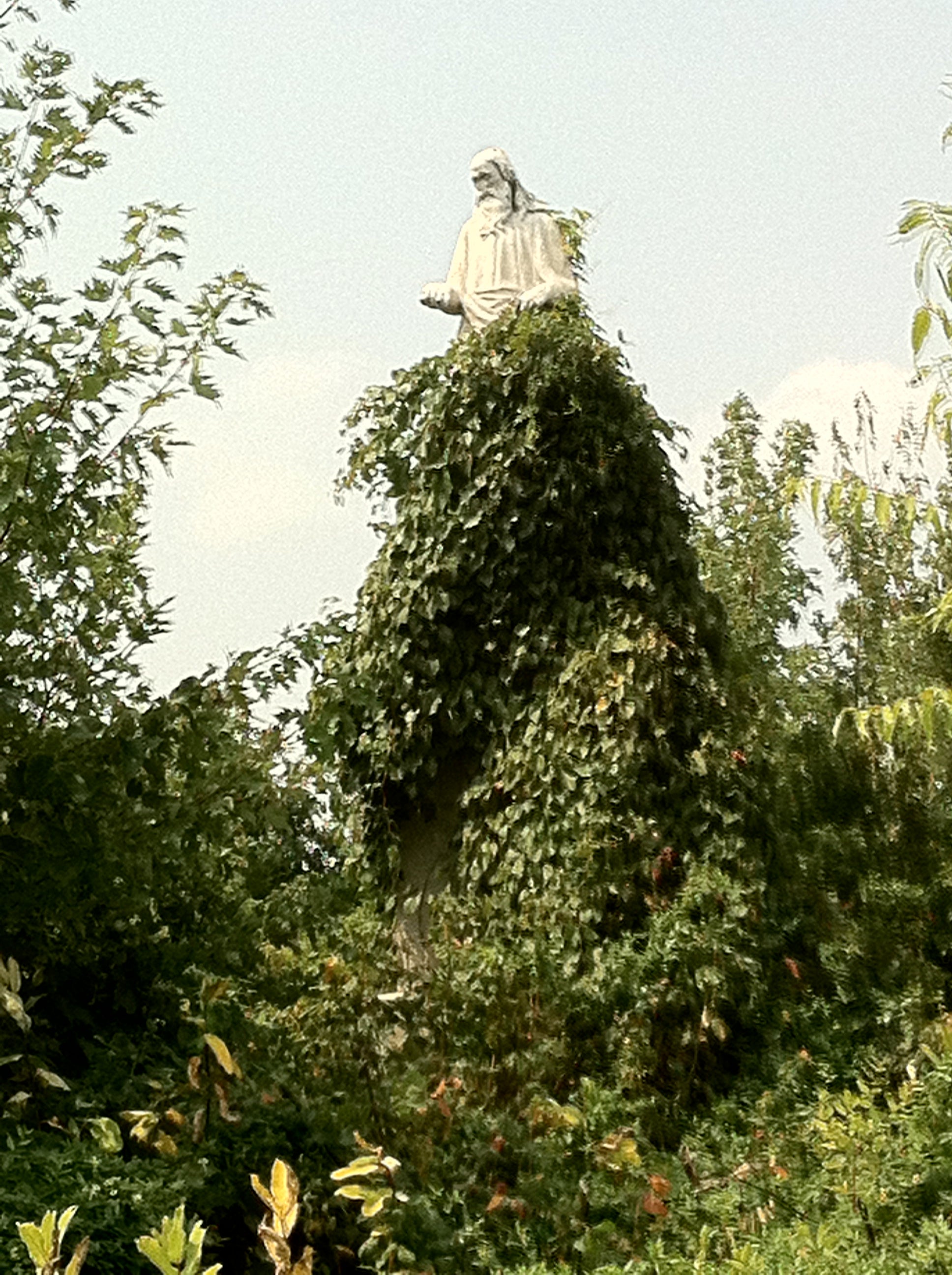 Holding out hope for Mount Moriah Cemetery