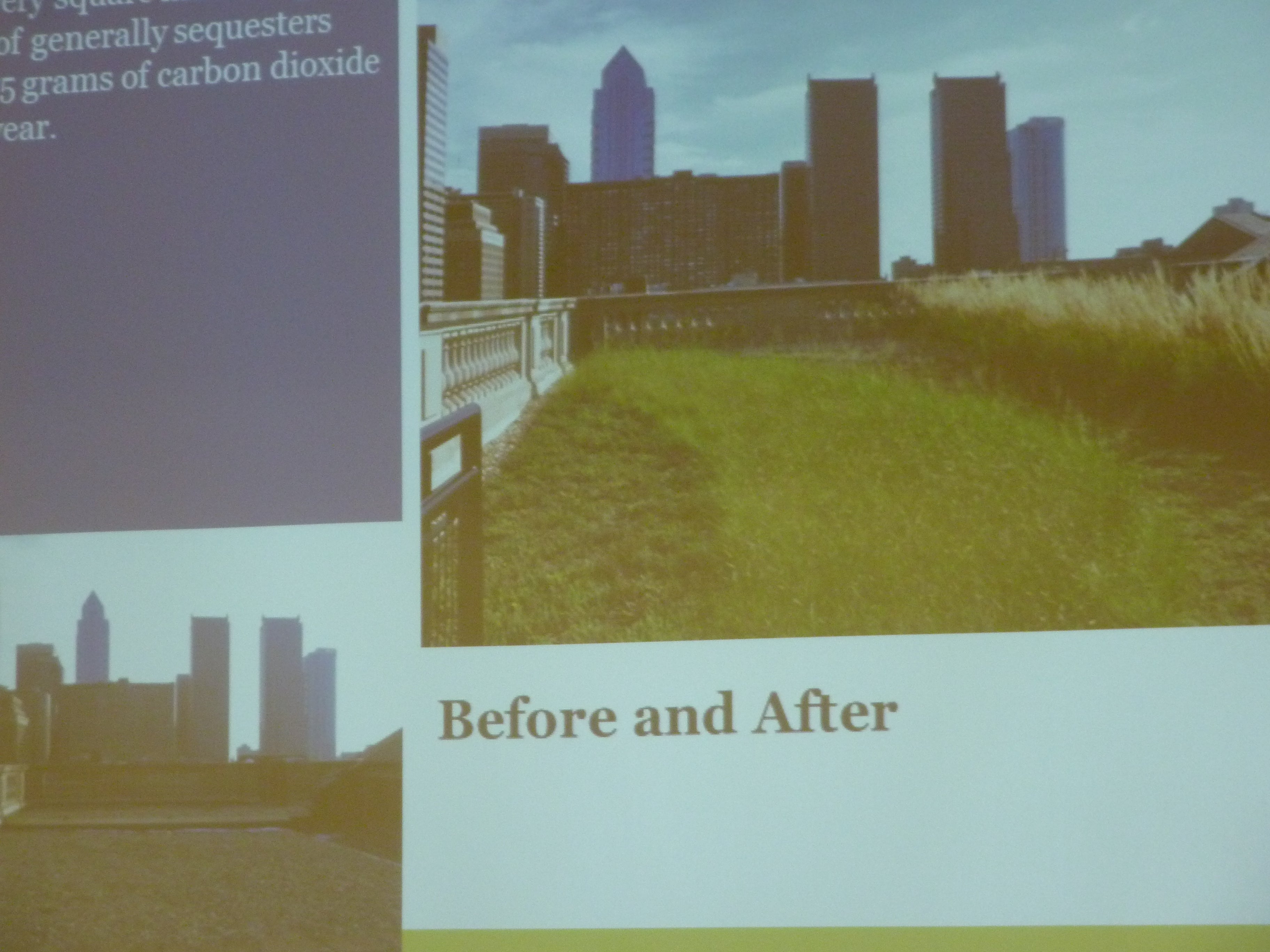 Central branch of Free Library pre- and post-green roof