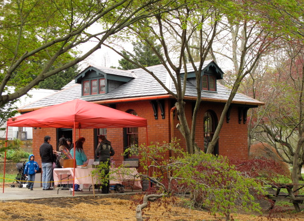 Debut of Japanese Garden’s Sakura Pavilion kicks off Cherry Blossom season