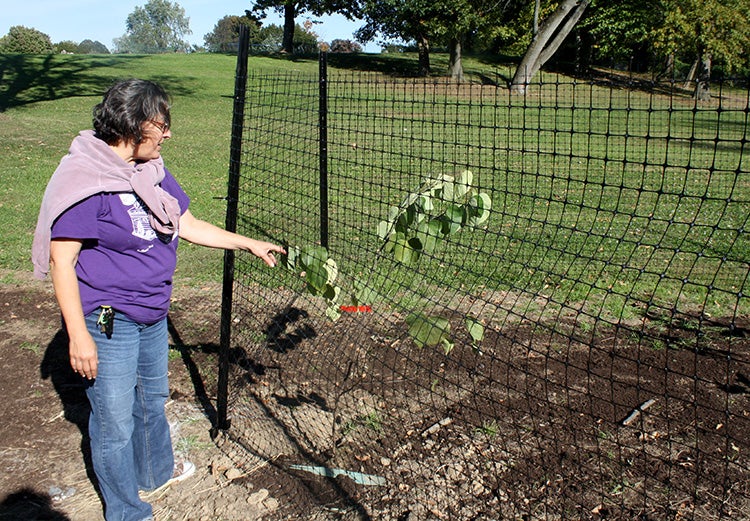 Julie Slavet admires the day's work