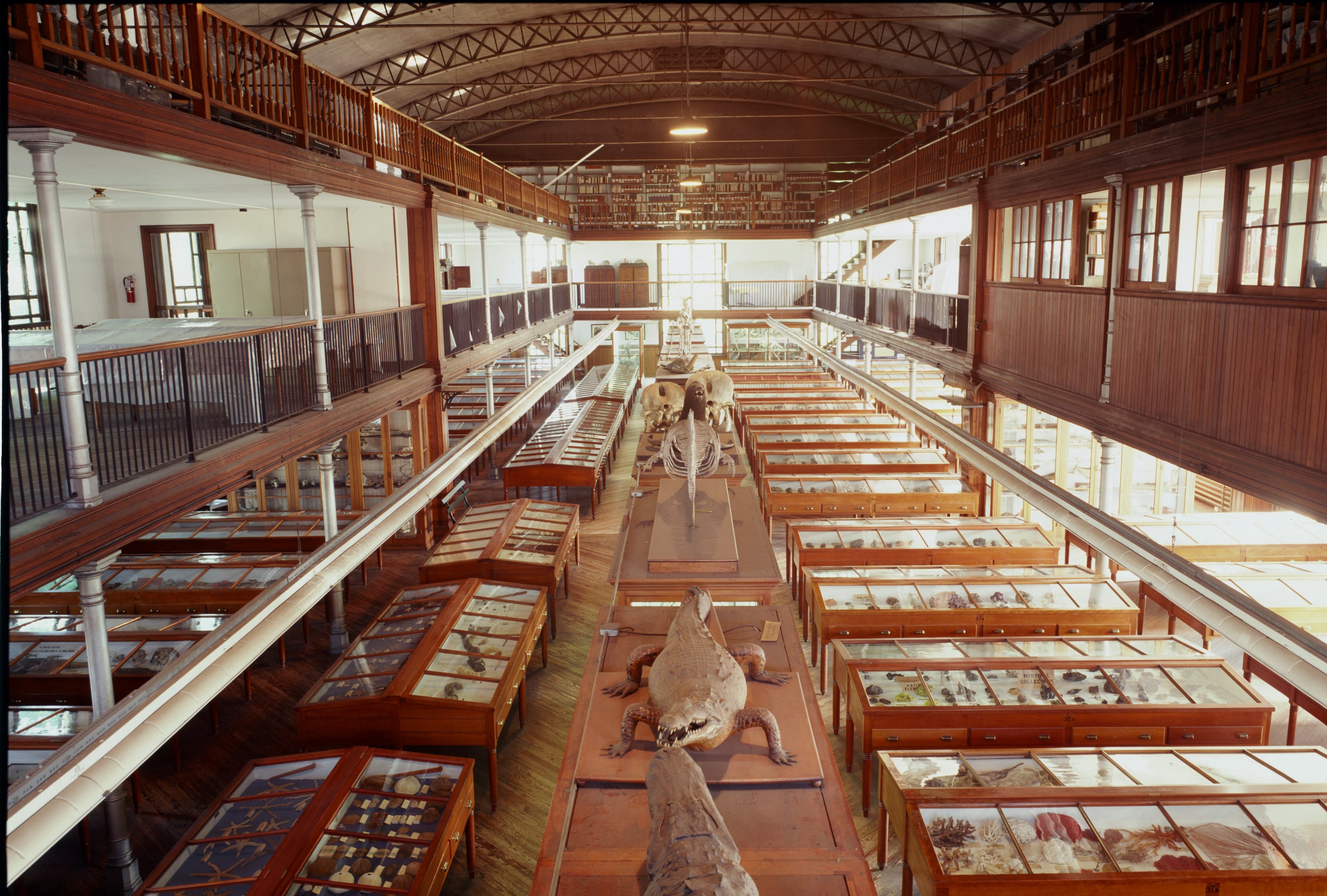 The Victorian exhibition hall of the Wagner Free Institute of Science.