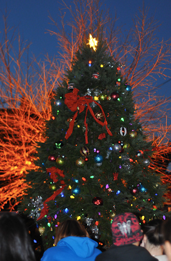 For the second conescutive year, Mayfair celebrated its Christmas tree lighting ceremony in the small park next to Frusco's steaks. Photo by Bill Achuff.