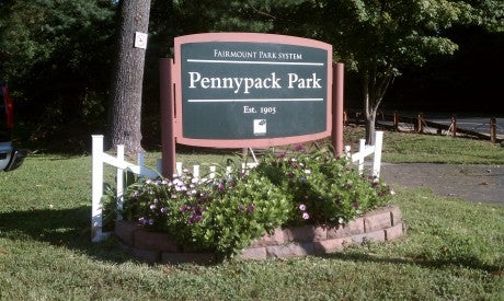 Business owner Andrew Ungaro maintains a small garden at Welsh Road and Cresco Avenue on the edge of Pennypack Park in Holme Circle. Photo/Friends of Pennypack Park