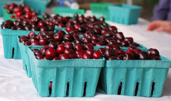 Fresh cherries at the 2011 Oxford Circle Farmers Market. It and the Frankford Farmers Market opened last year. Photo/Ben Bergman