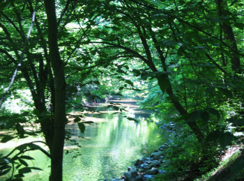 http-neastphilly-com-wp-content-uploads-2012-11-pennypack-creek_ge-reutter-350x260-png