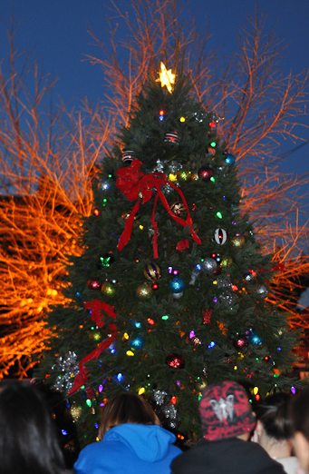 http-neastphilly-com-wp-content-uploads-2013-12-mayfair-christmas-tree-2012-png