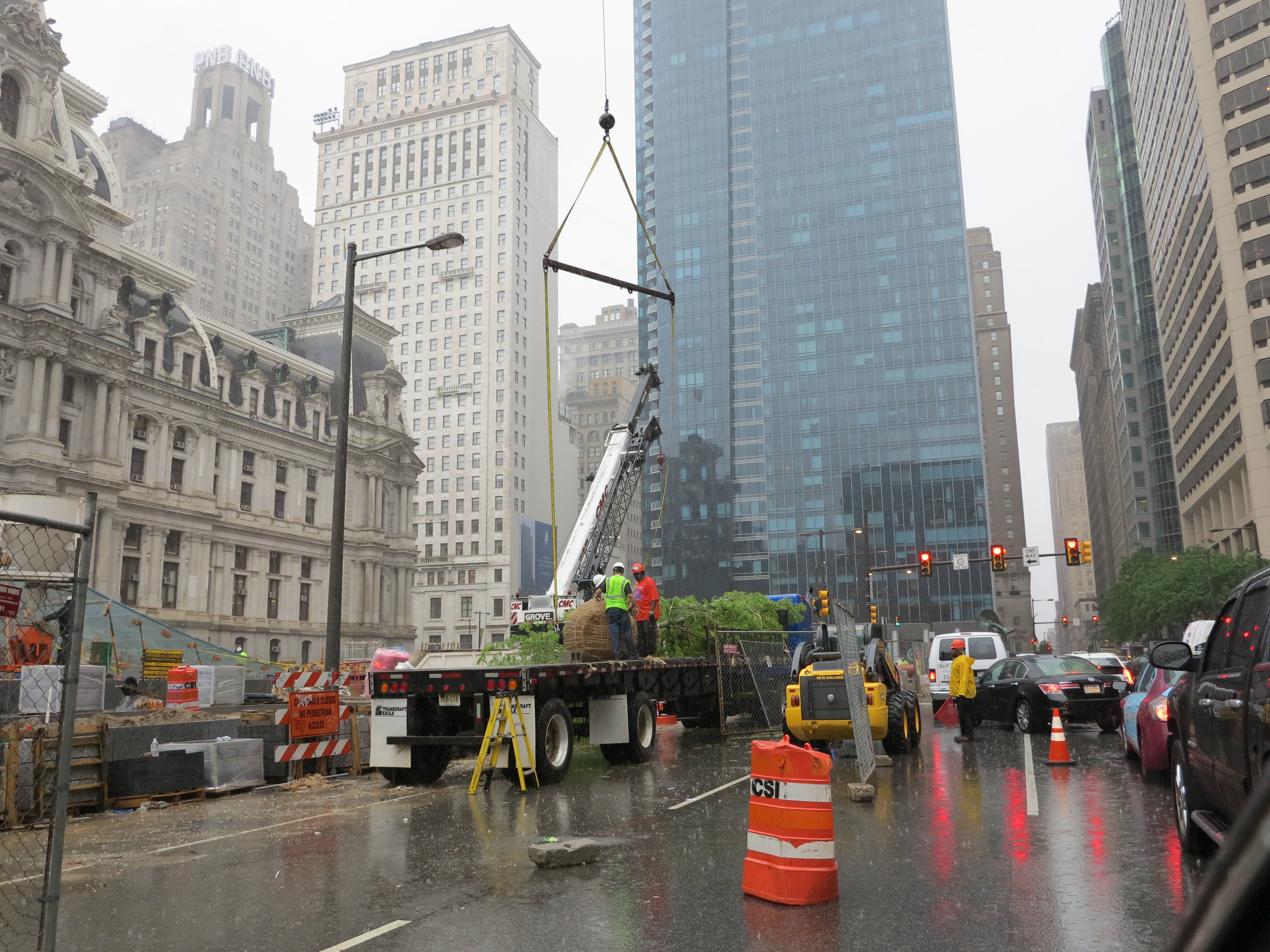 Trees being unloaded from a flatbed, May 2014