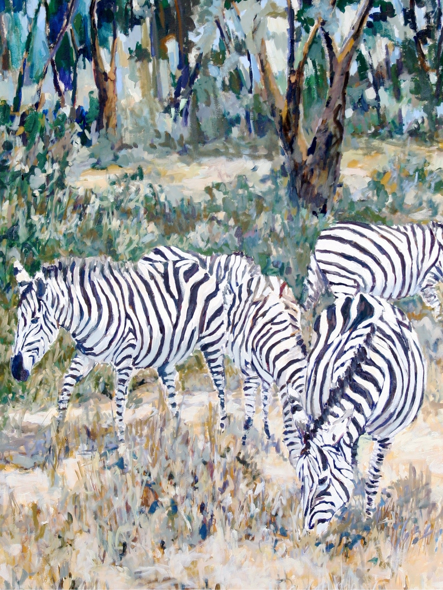 African Plains, zebras