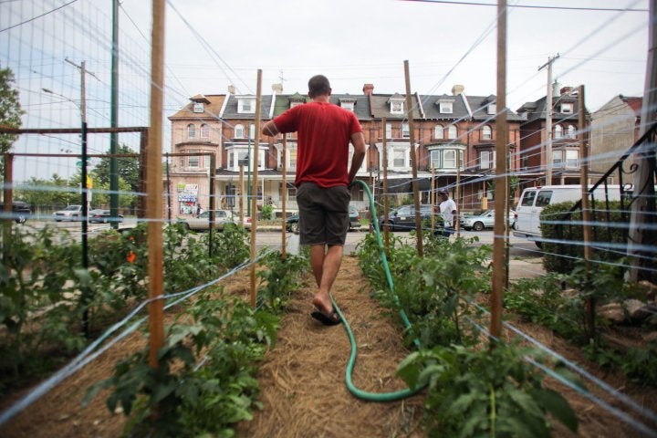 Andrew Olson watering in Farm 51, 2011 | Neal Santos