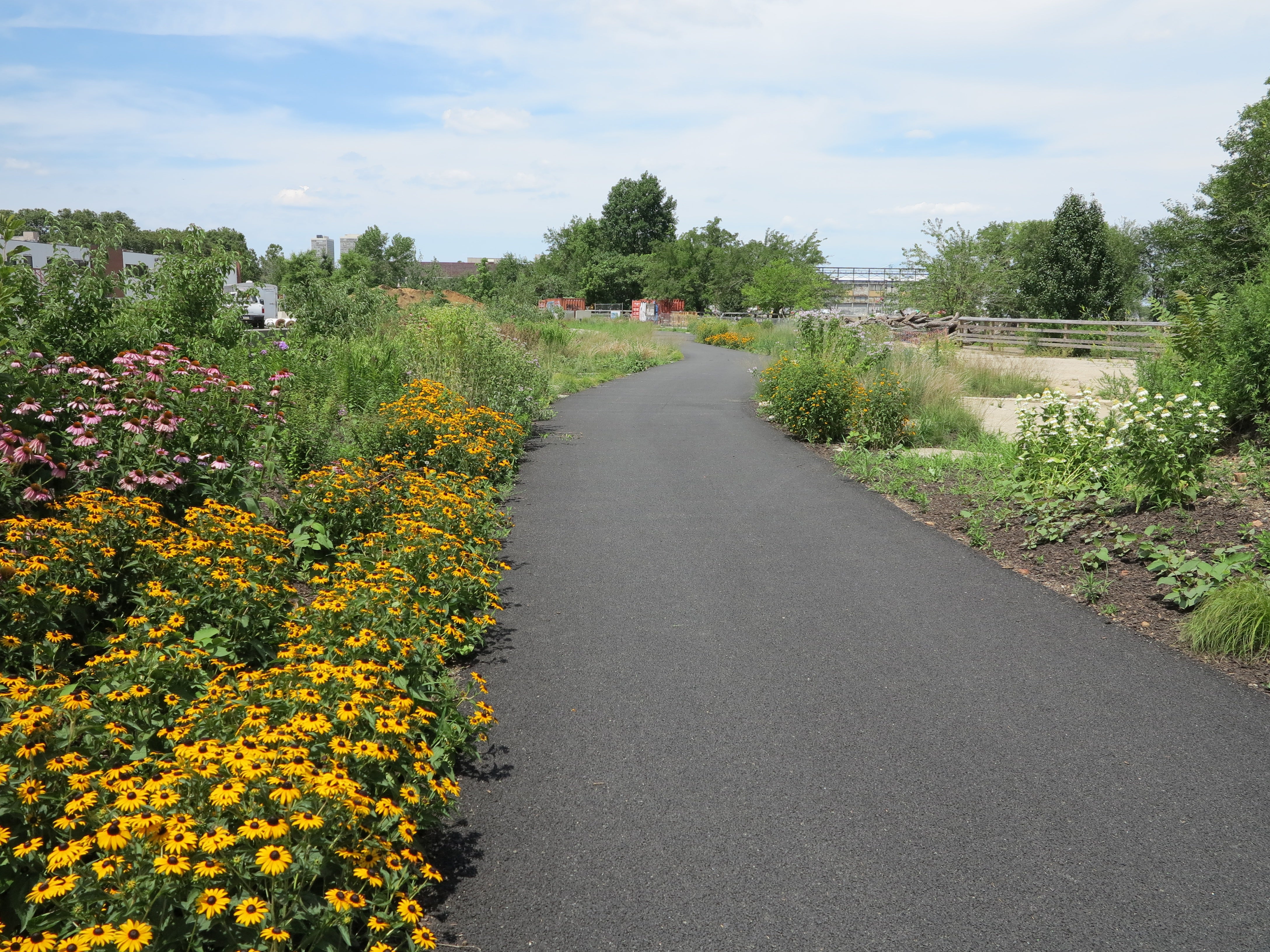 Delaware River Trail, July 2014