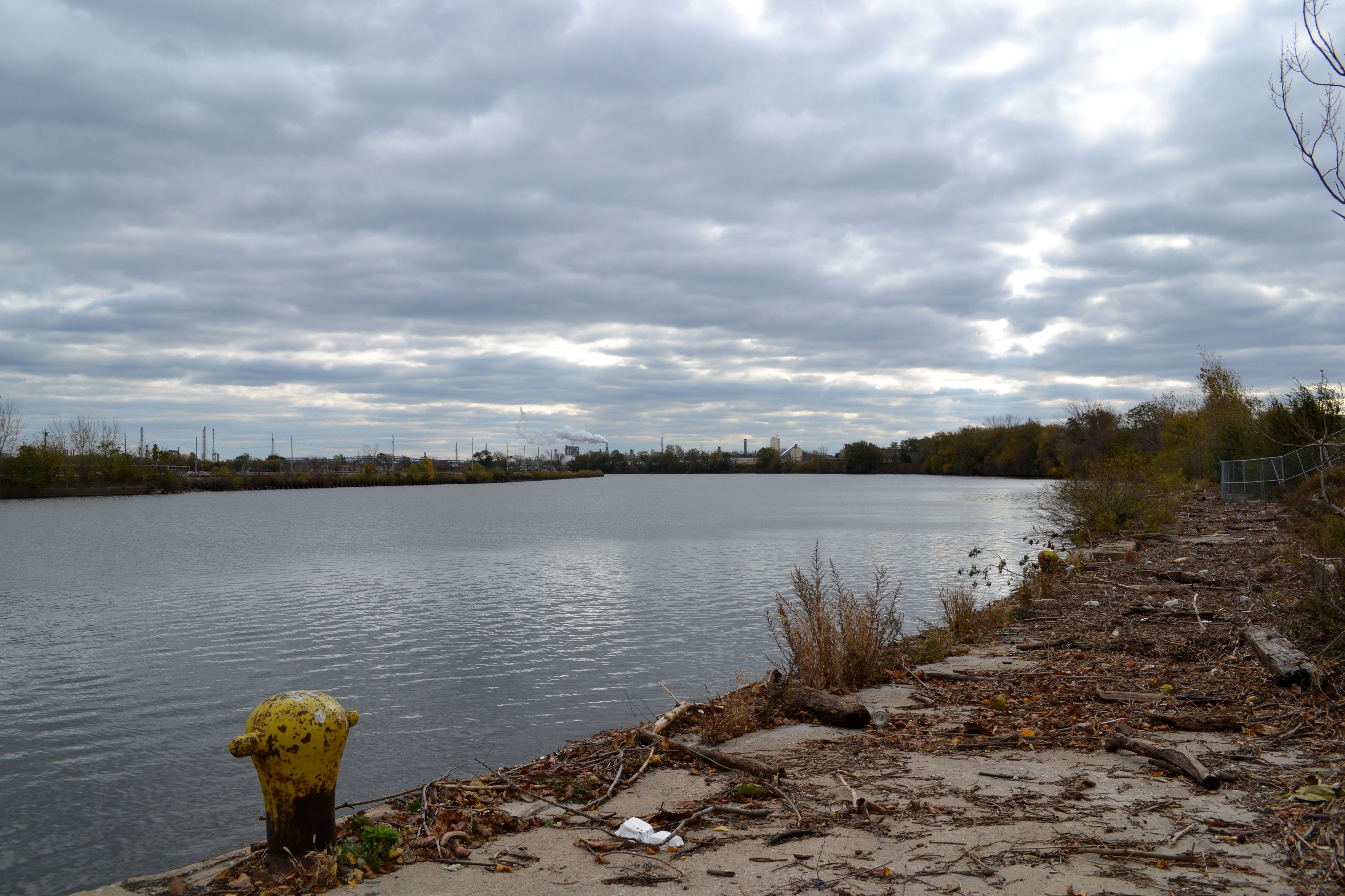 Looking south from 56th Street, Bartram's Mile offers sweeping views